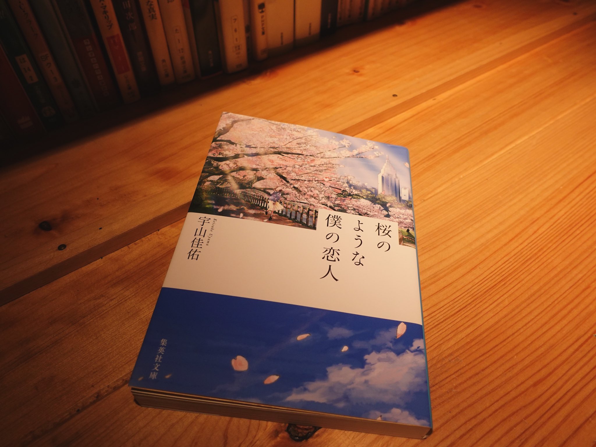 桜のような僕の恋人/宇山佳佑