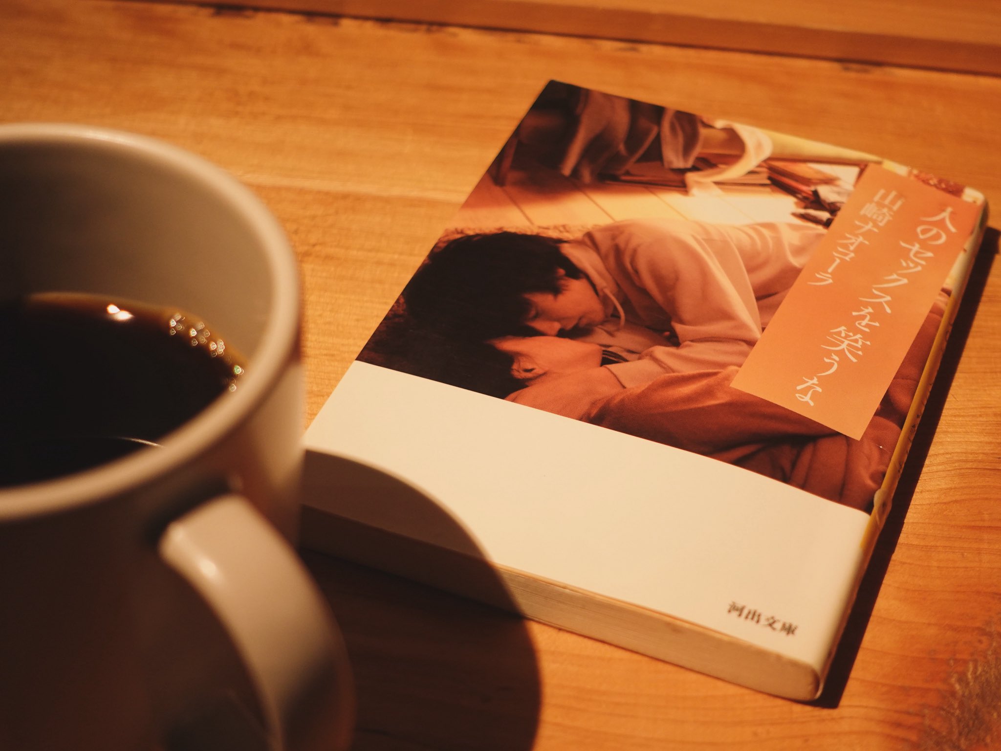 人のセックスを笑うな/山﨑ナオコーラ