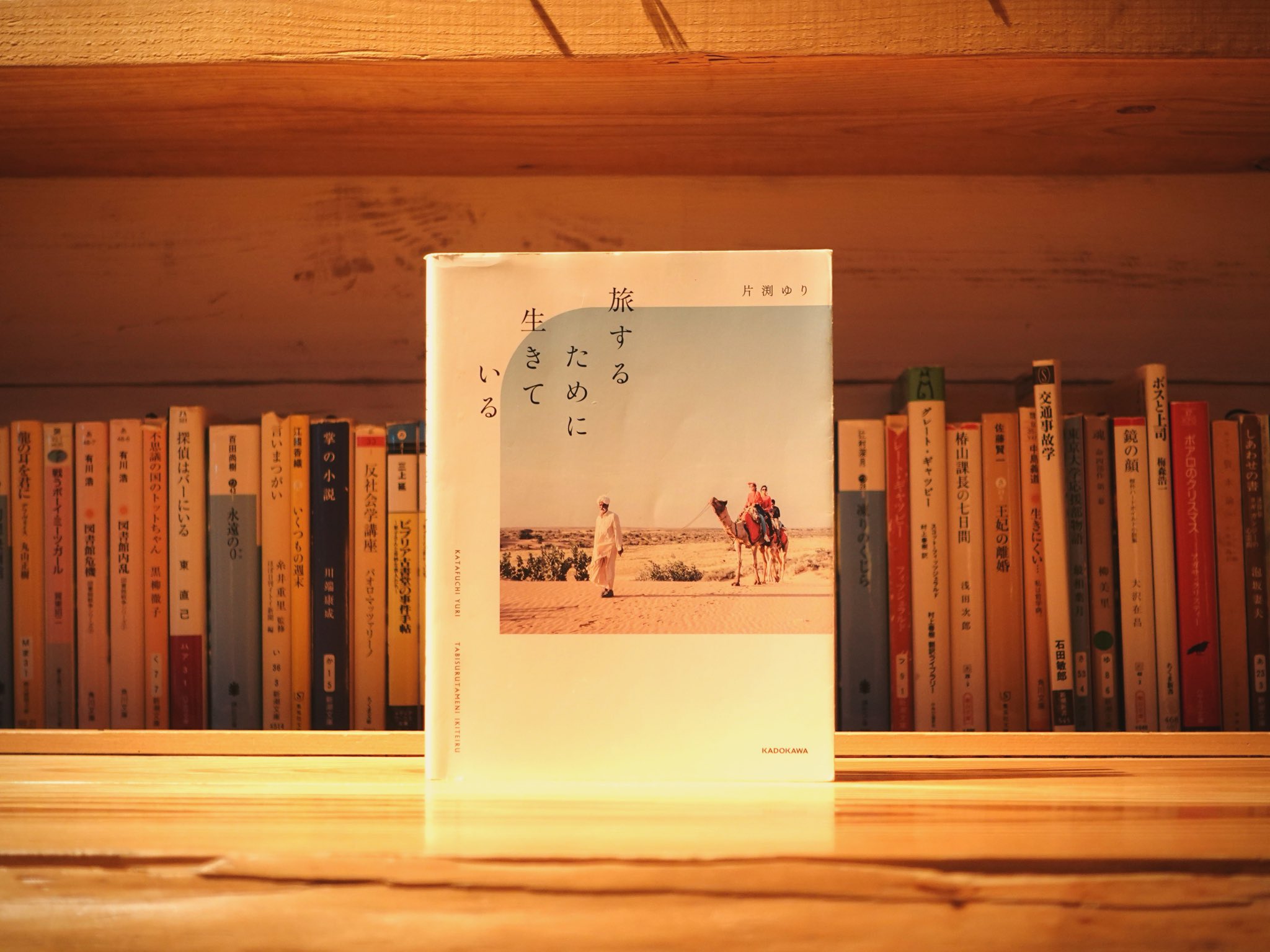 旅するために生きている/片渕ゆり