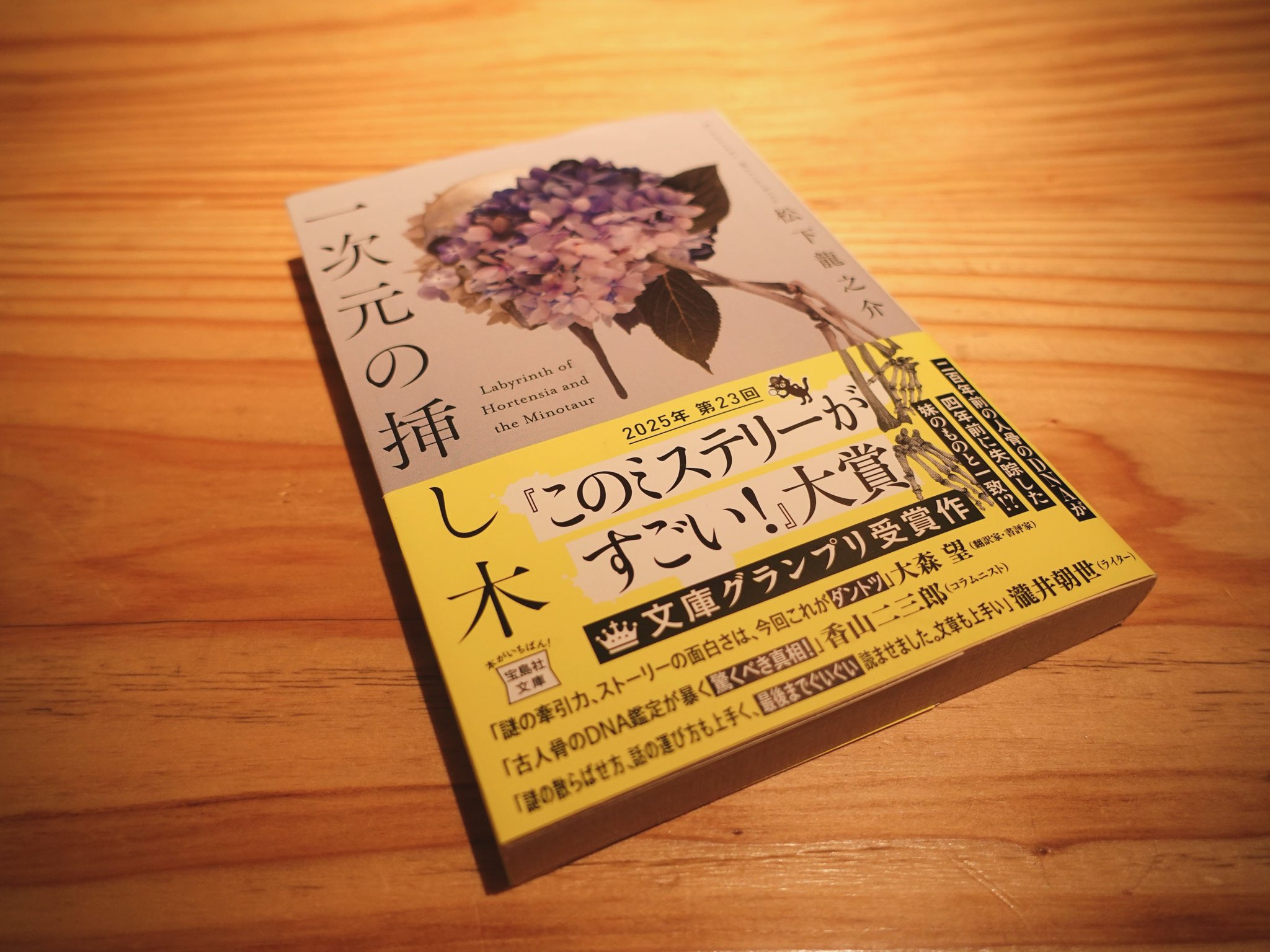 一次元の挿し木/松下龍之介
