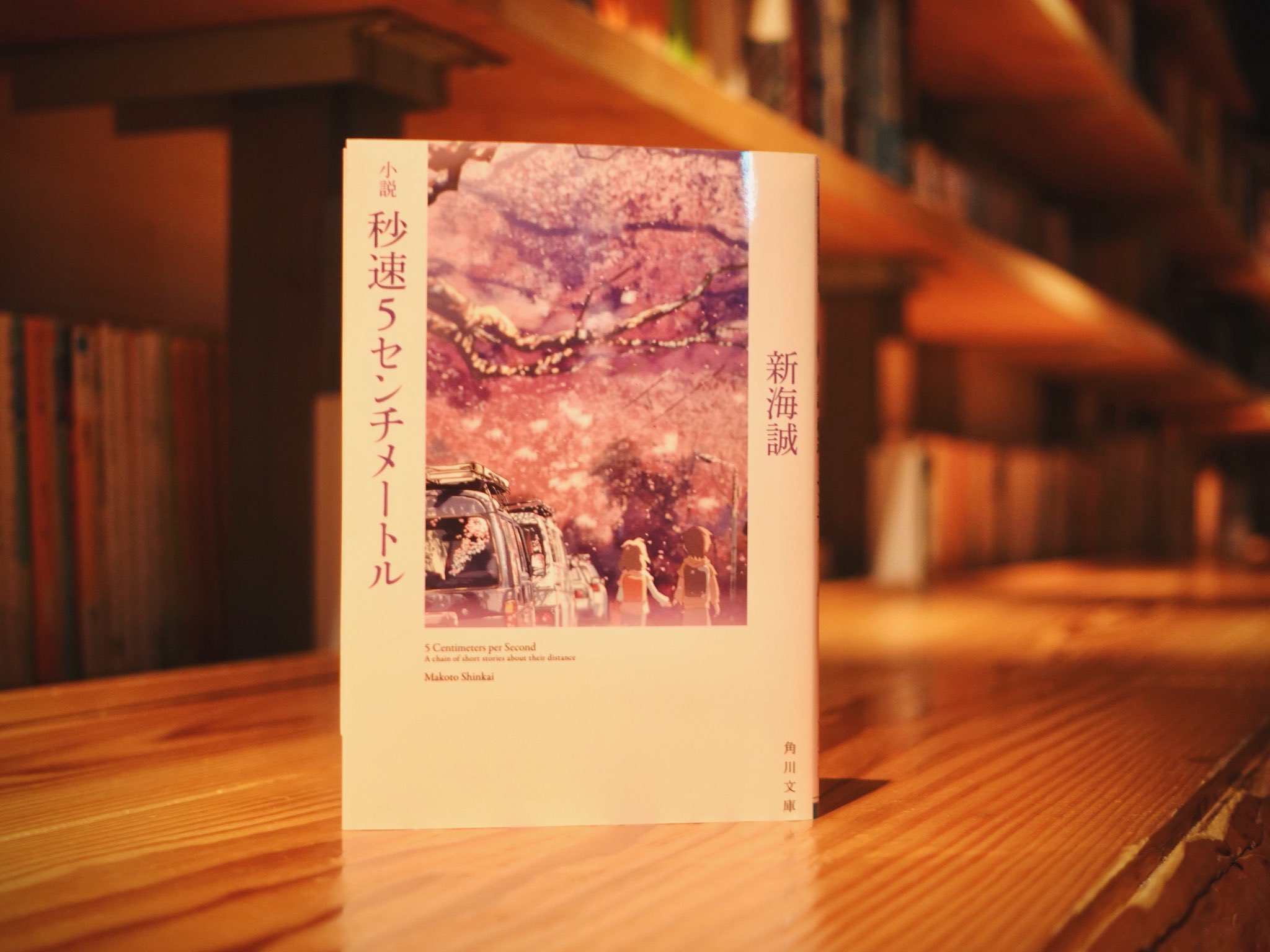 秒速5センチメートル/新海誠
