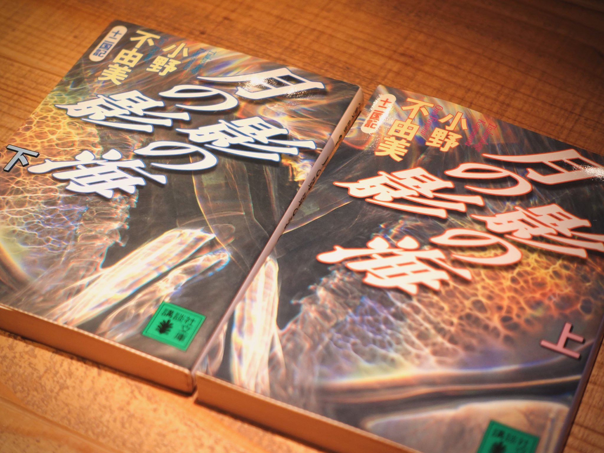 [十二国記シリーズ]月の影　影の海(上下)/小野不由美